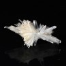 Gypsum - Angervilliers, Essonne, France