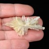 Gypsum - Angervilliers, Essonne, France