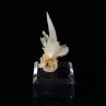 Calcite - Mine Qinglong / Dachang, Guizhou, Chine