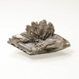 Gypse - Sinard, Isère, France