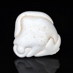 Gogotte - Irhoud, Maroc