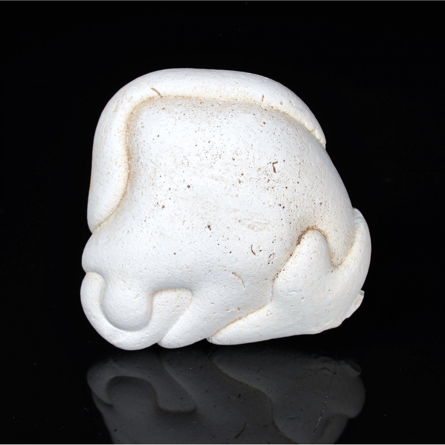 Gogotte - Irhoud, Morocco