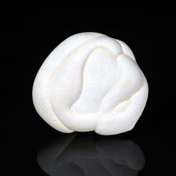 Gogotte - Irhoud, Maroc