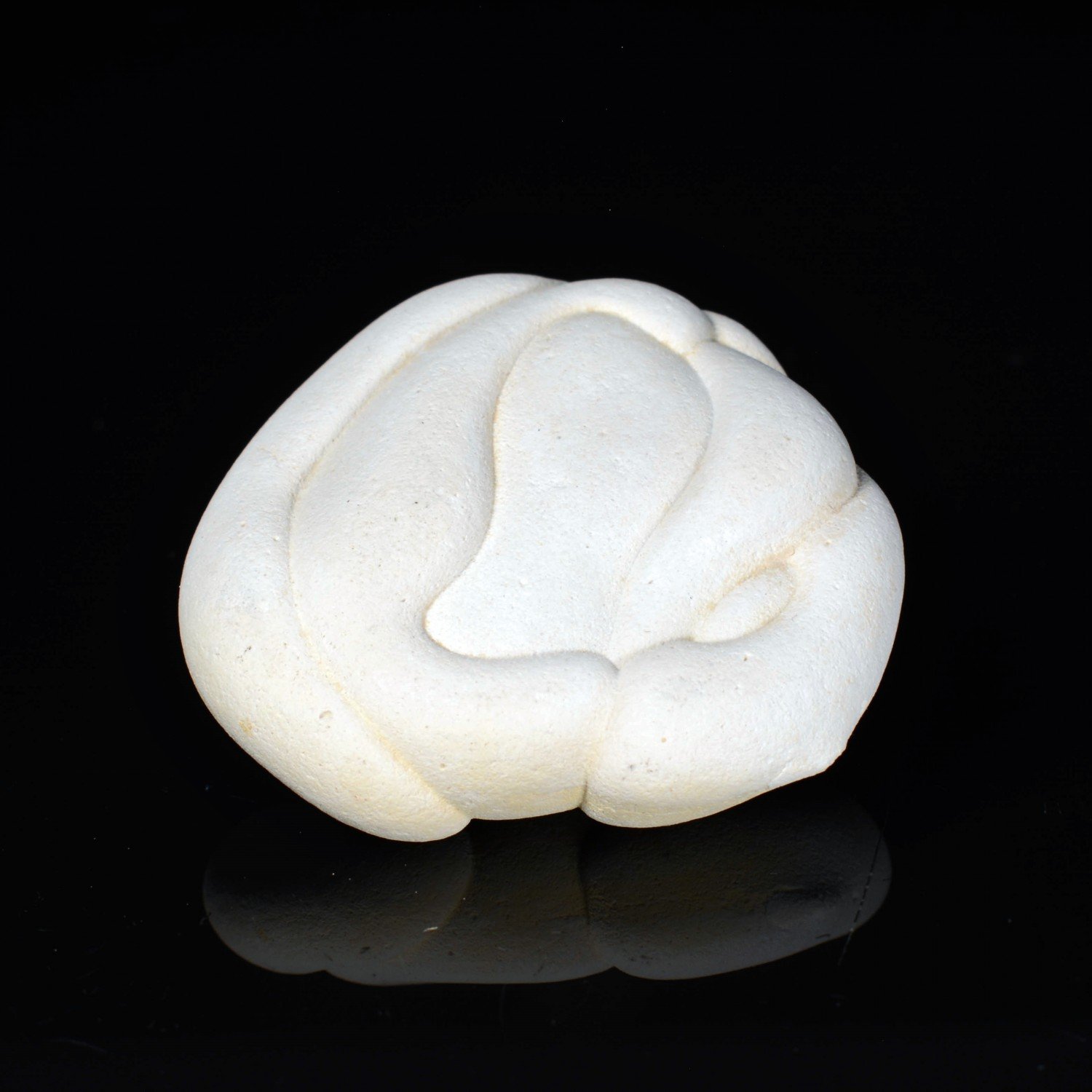 Gogotte - Irhoud, Morocco