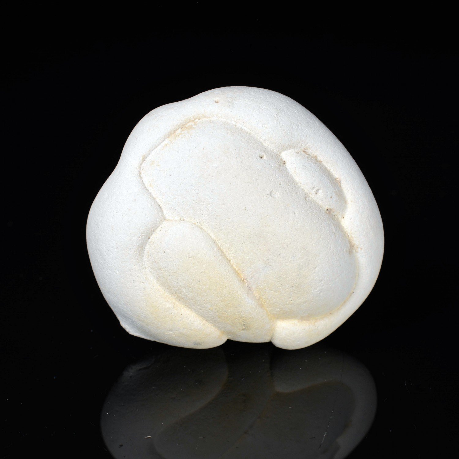 Gogotte - Irhoud, Morocco