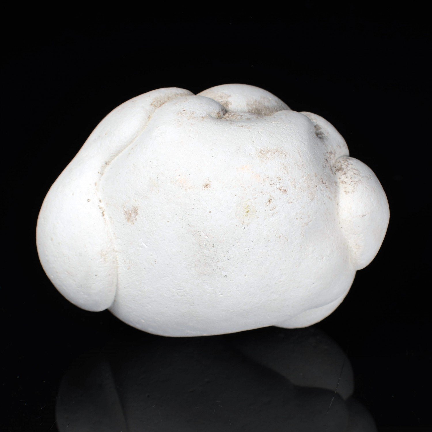 Gogotte - Irhoud, Morocco