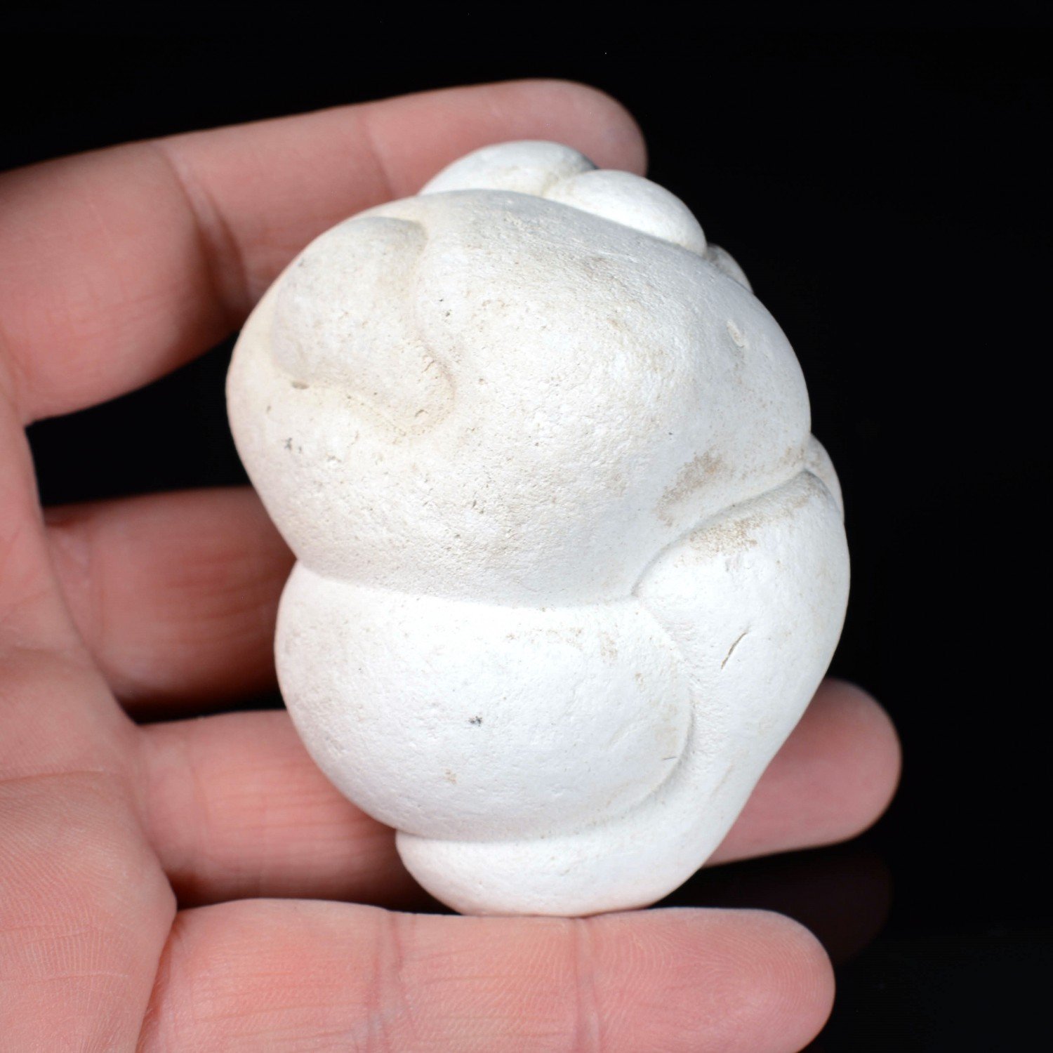 Gogotte - Irhoud, Maroc