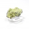 Wavellite - Mauldin, Arkansas, Etats-Unis