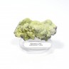 Wavellite - Mauldin, Arkansas, Etats-Unis