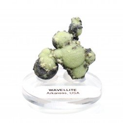 Wavellite - Mauldin, Arkansas, USA