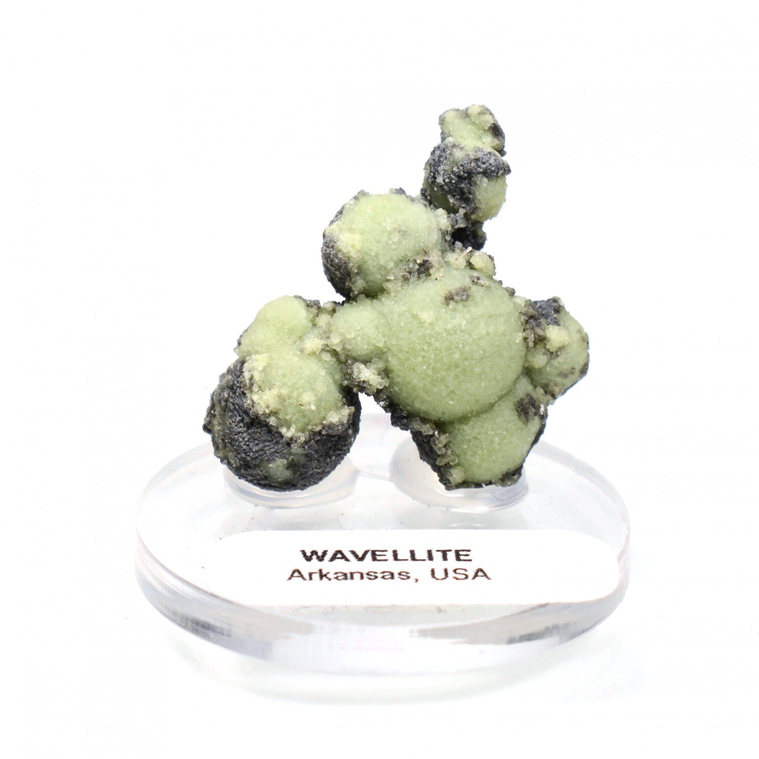 Wavellite - Mauldin, Arkansas, Etats-Unis Wavellite - Mauldin, Arkansas, Etats-Unis