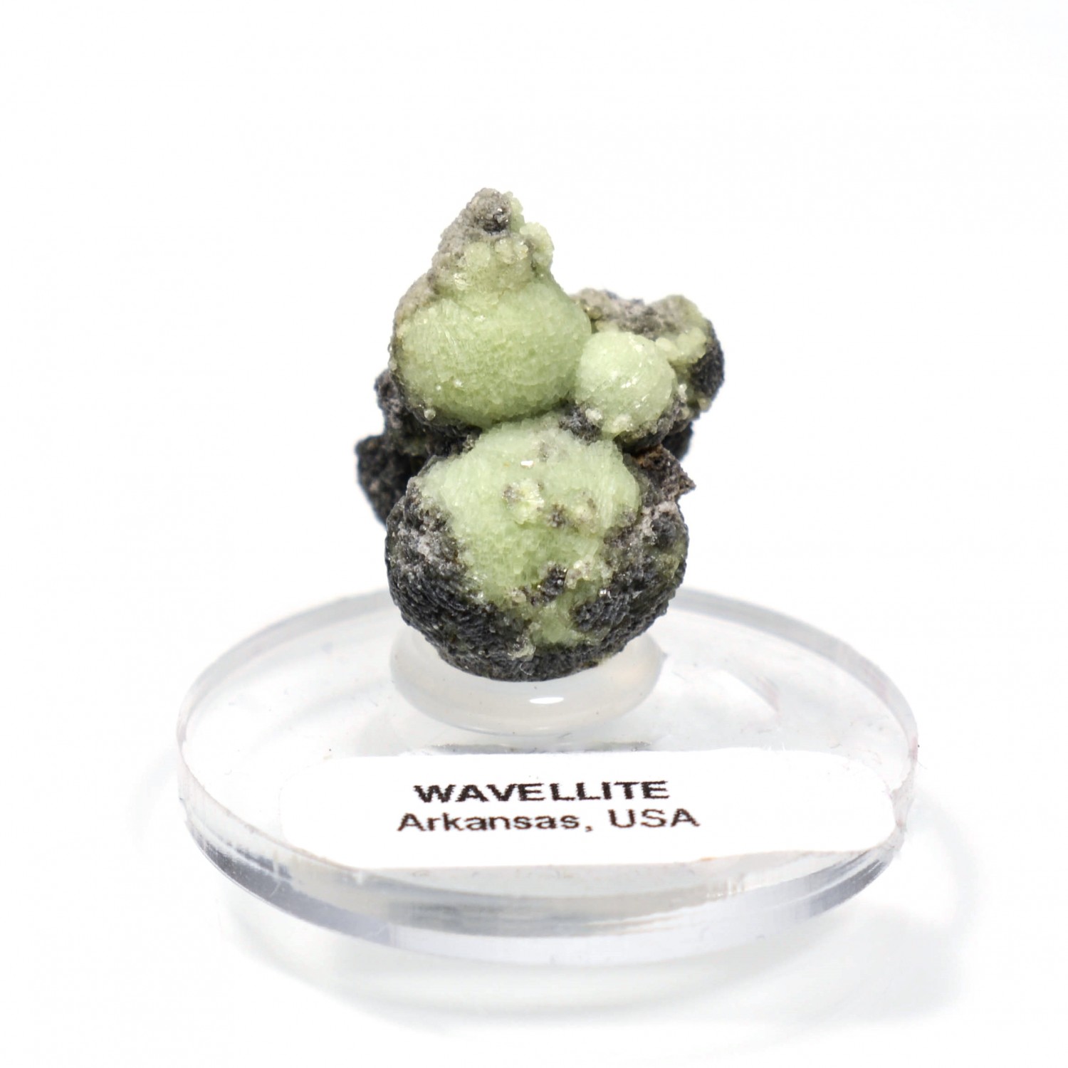 Wavellite - Mauldin, Arkansas, Etats-Unis