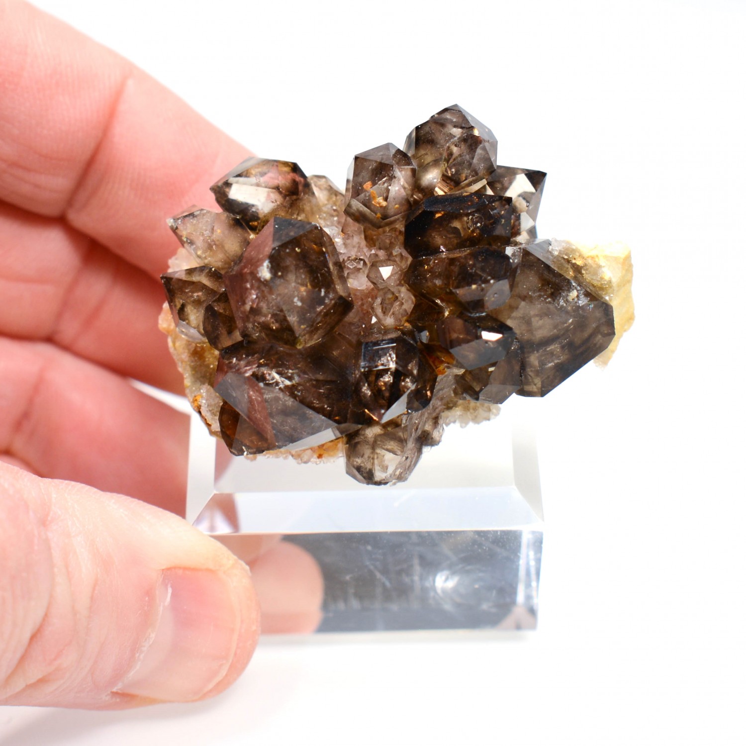 Smoky quartz - Mooralla, Victoria, Australia