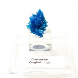 Cavansite - Carrières de Wagholi, district de Poona, Maharashtra, Inde
