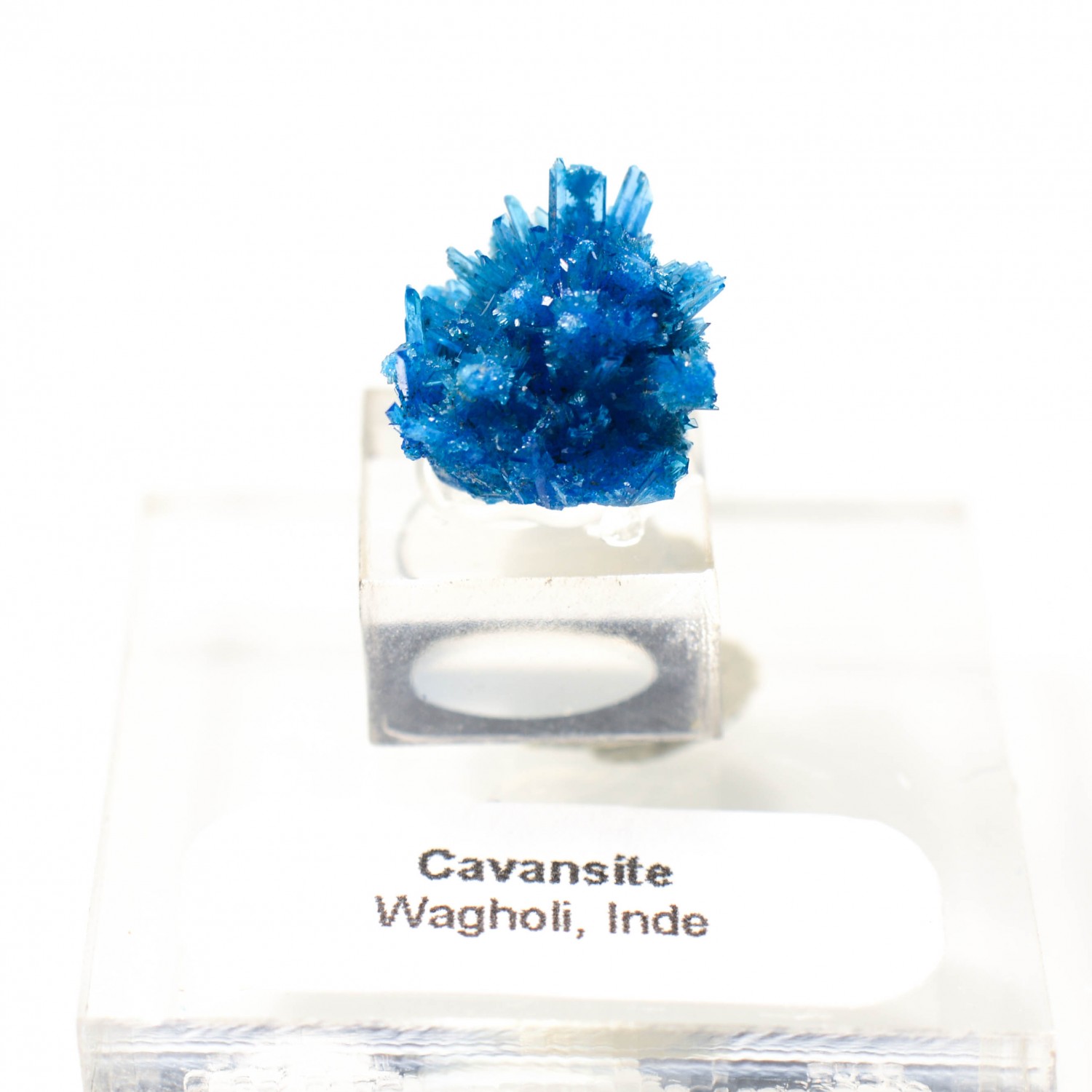 Cavansite - Carrières de Wagholi, district de Poona, Maharashtra, Inde