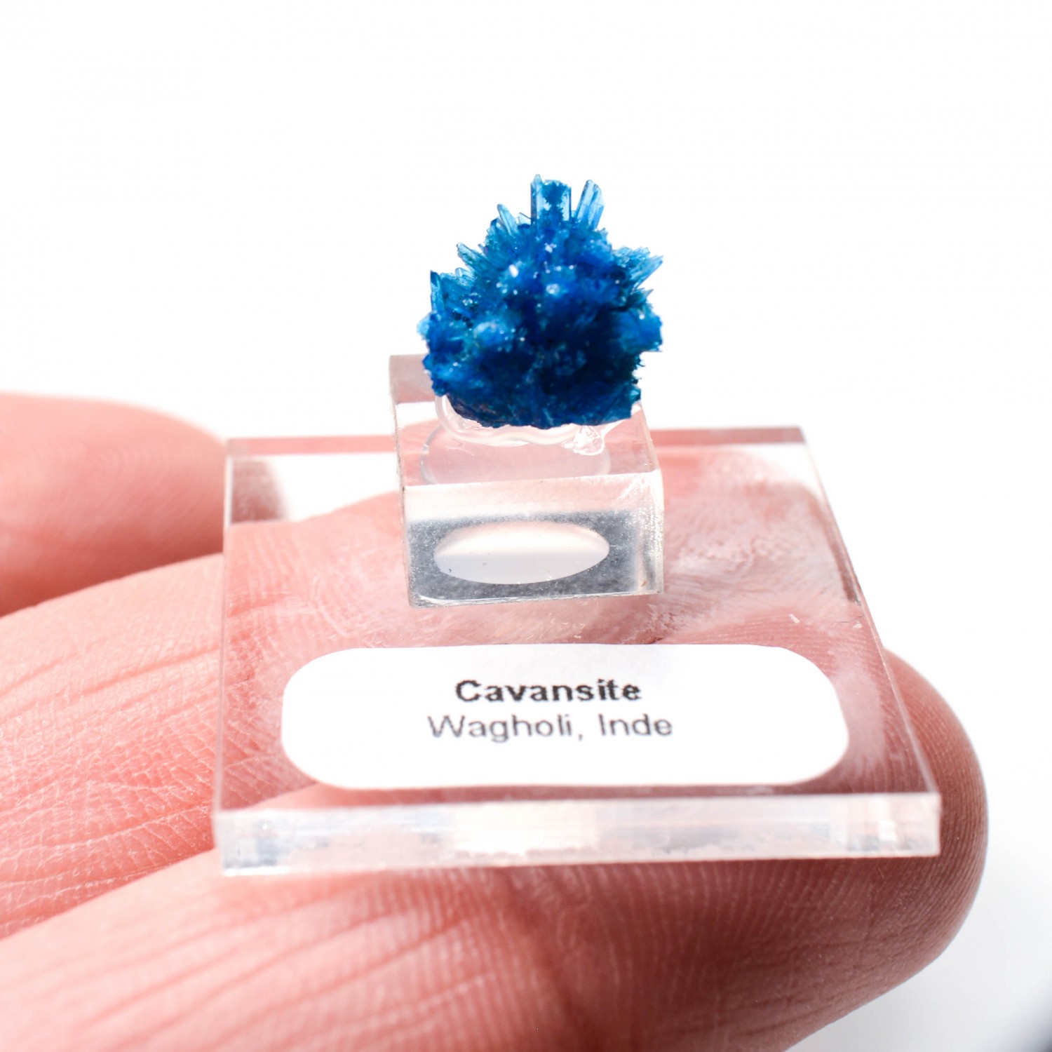 Cavansite - Wagholi quarries, Poona district, Maharashtra, India