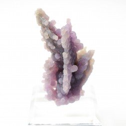 " Calcédoine grappe " - Mamuju, île Célèbes, Indonésie