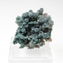 " Calcédoine grappe " - Mamuju, île Célèbes, Indonésie