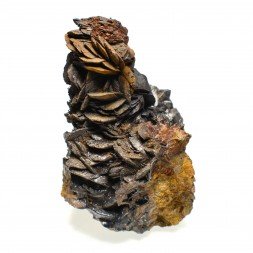 Siderite - Peyreblanque, Tarn, France