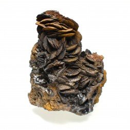 Siderite - Peyreblanque, Tarn, France