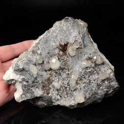 Calcite, dolomite, sphalérite - Trèves, Gard, France