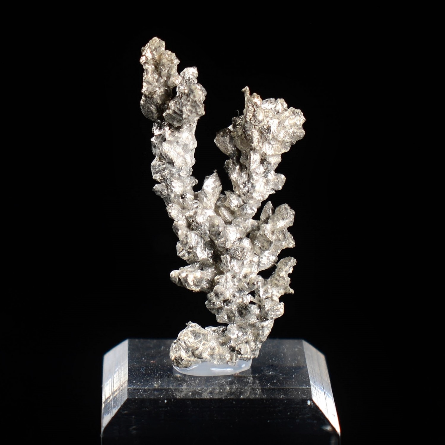 Native silver - Bouismas mine, Bou-Azzer mining district, Morocco