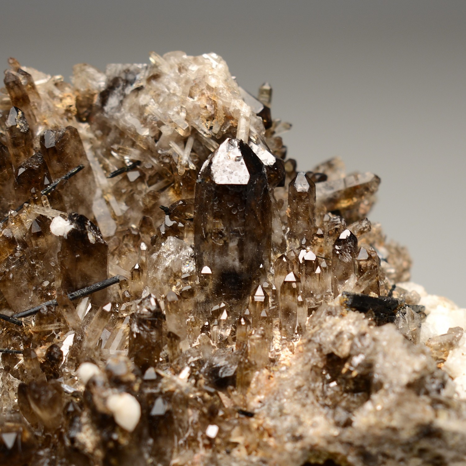 Quartz fumé et arfvedsonite - Mont Malosa, Zomba, Malawi