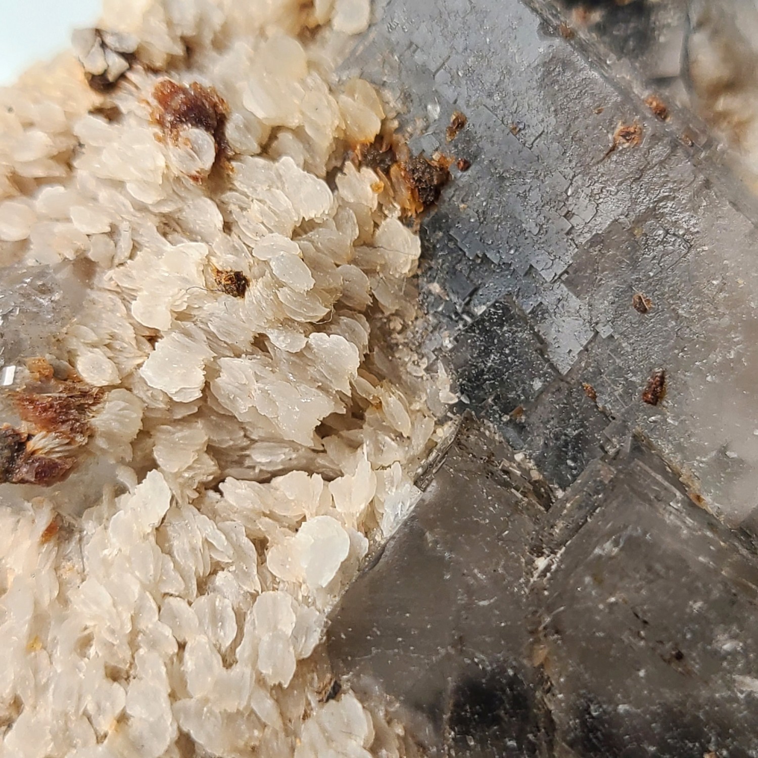 Fluorite and calcite on barite - Hammam Jedidi, Zaghouan, Tunisia