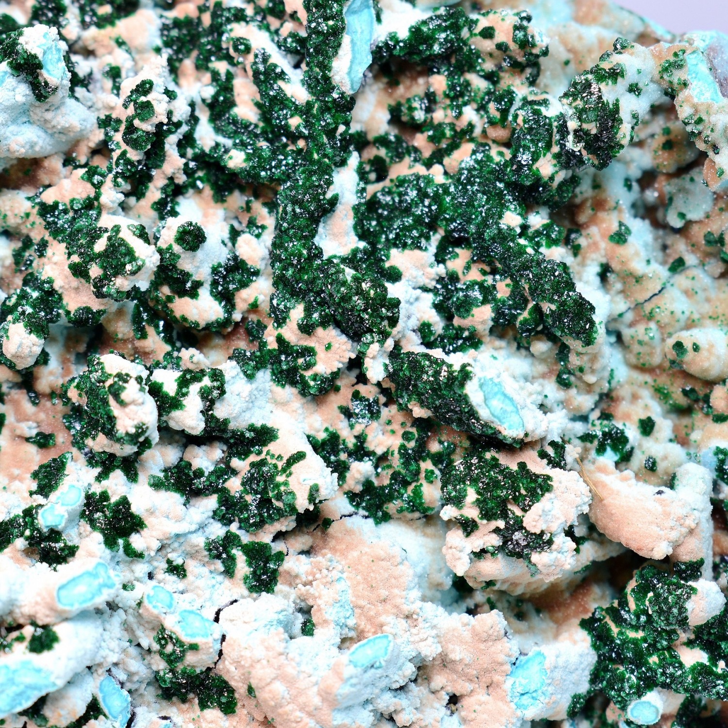 Chrysocolle, malachite et quartz - Mine Tenke-Fungurume, RD Congo