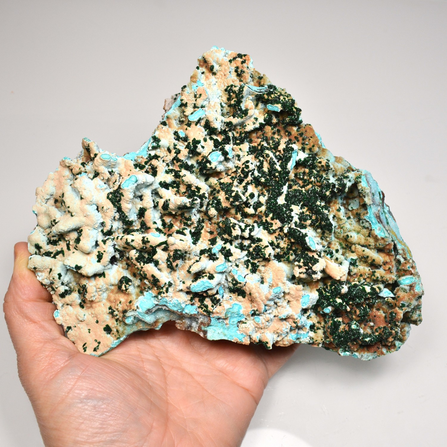 Chrysocolle pseusomorphose après azurite (?), malachite et quartz - Mine Tenke-Fungurume, Katanga, RD Congo