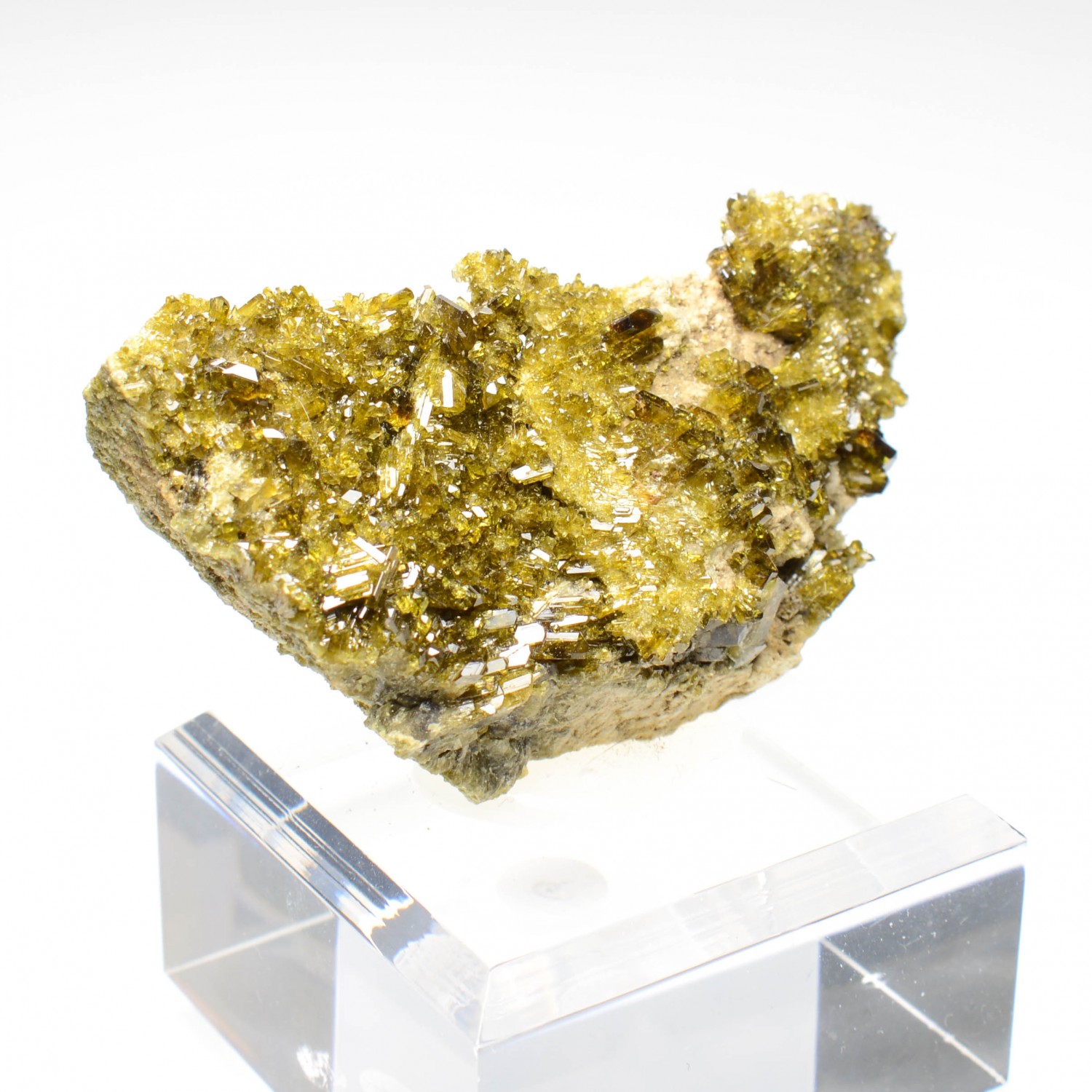 Epidote - Italian Rodingitis, Piedmont/Aosta Valley, Italy