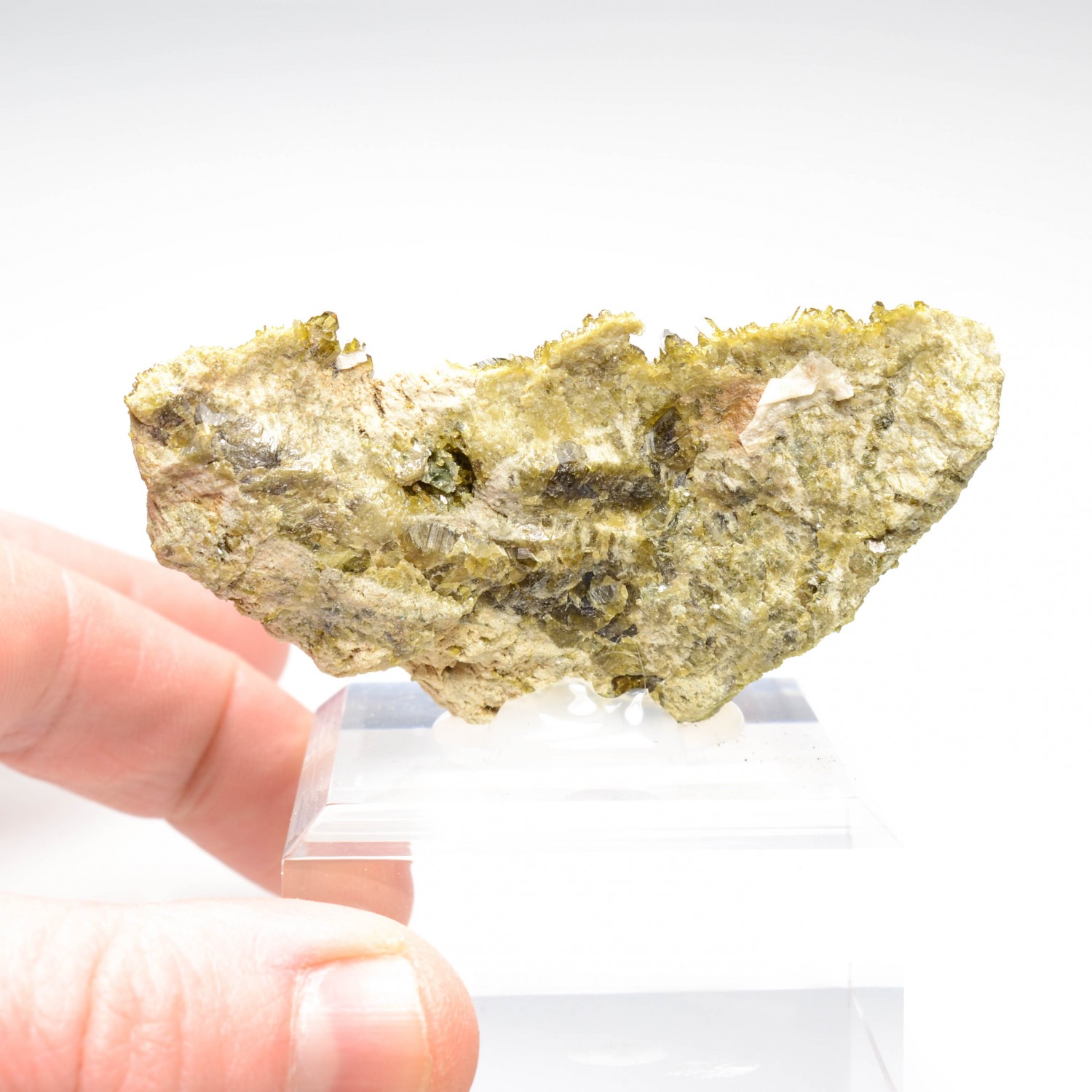 Epidote - Rodingites italiennes, Piémont/Vallée d'Aoste, Italie