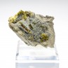 Epidote and clinochlore - Italian rodingitis, Piedmont/Aosta Valley, Italy