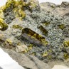 Epidote and clinochlore - Italian rodingitis, Piedmont/Aosta Valley, Italy