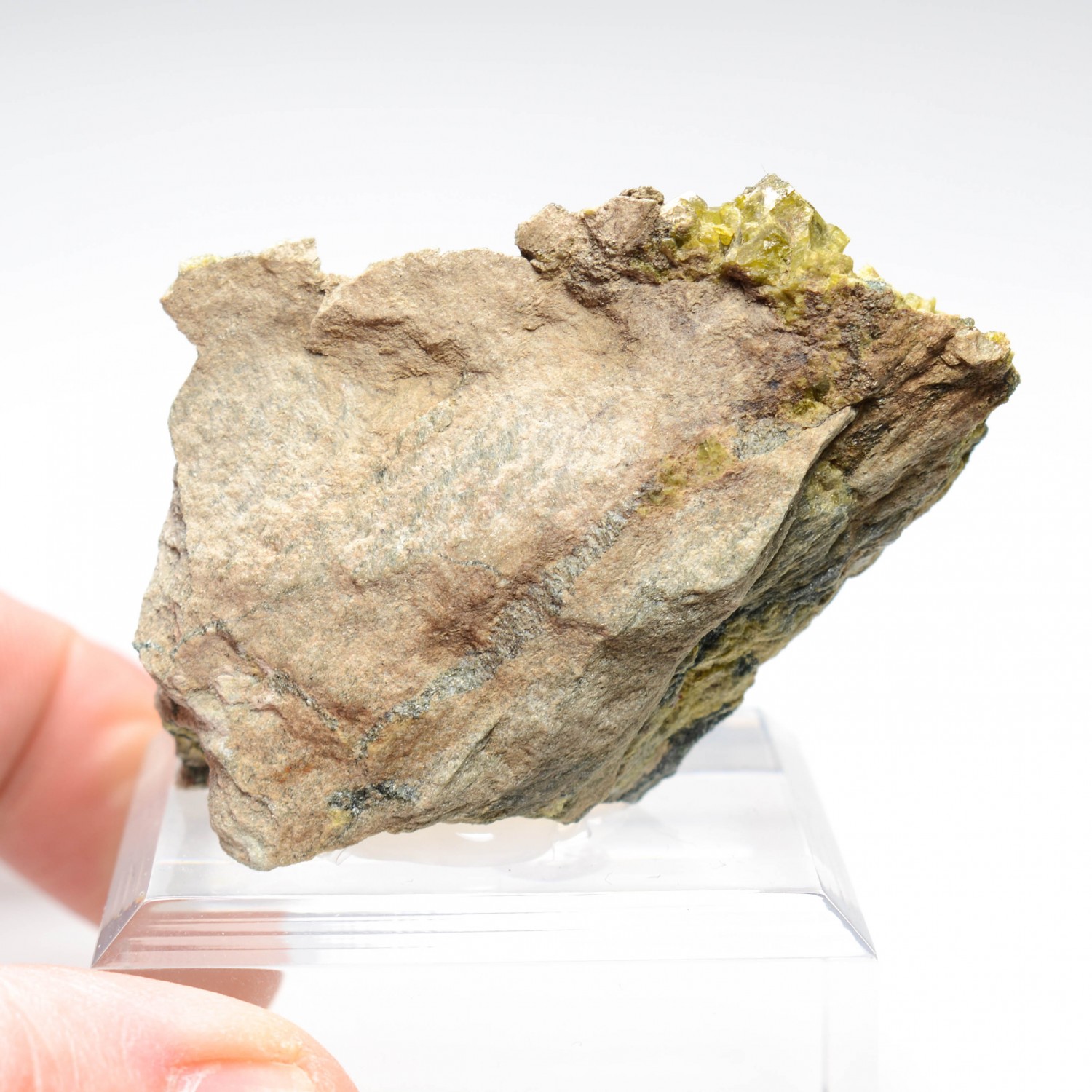 Epidote and clinochlore - Italian rodingitis, Piedmont/Aosta Valley, Italy