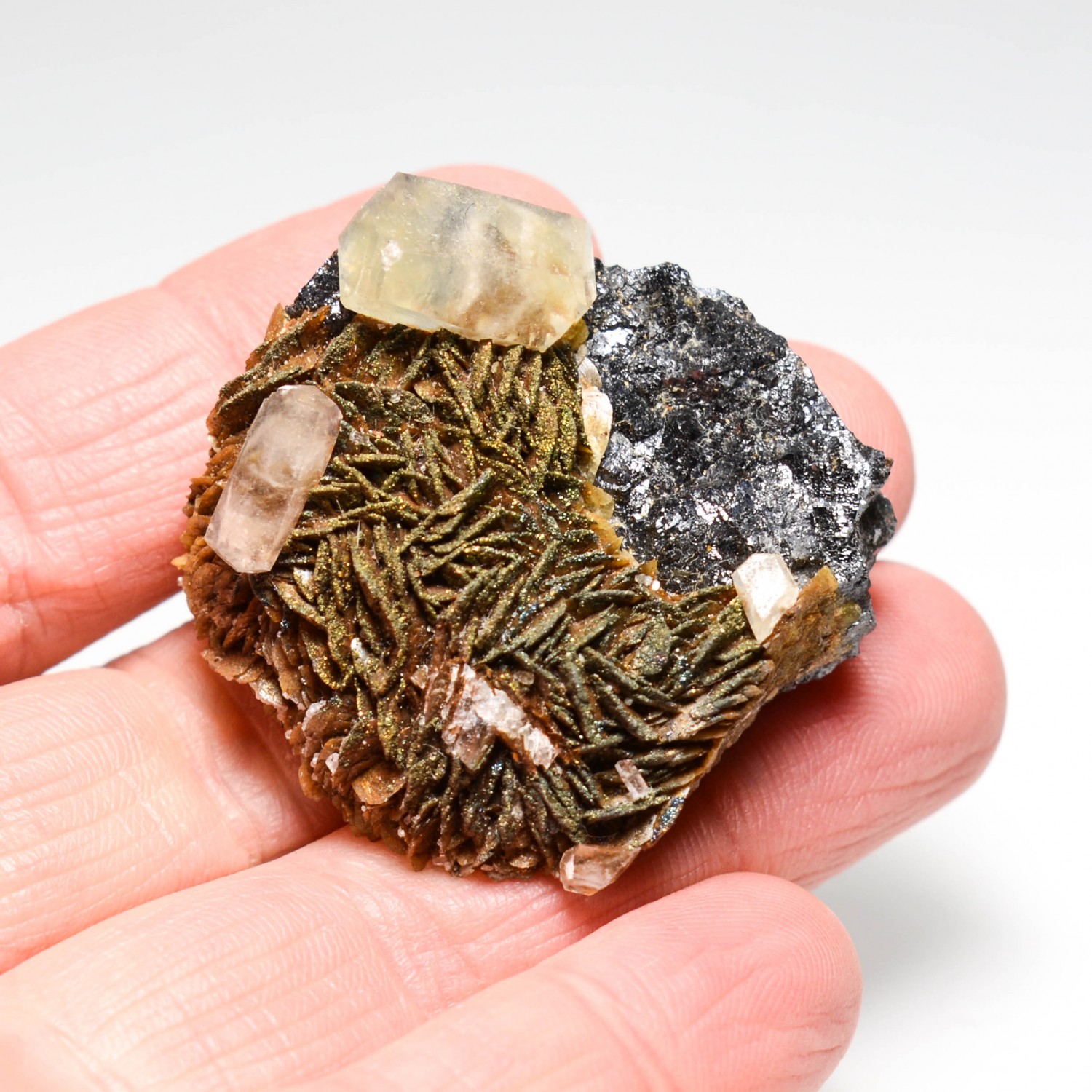 Calcite and siderite - Rivet quarry, Peyrebrune, Tarn, France