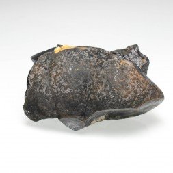 Goethite - La Quille du Roy, Montredon-Labessonnié, Tarn, France