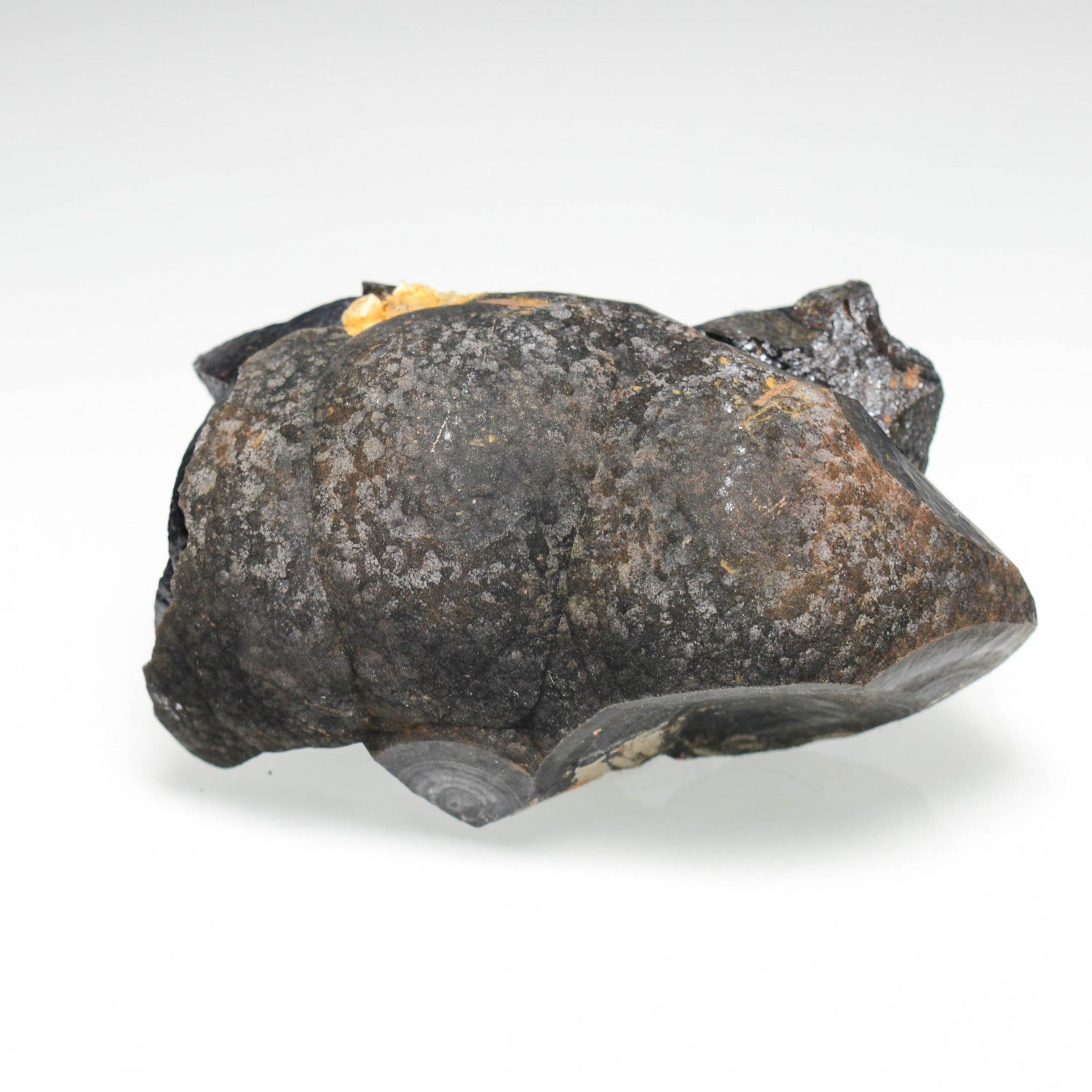 Goethite - La Quille du Roy, Montredon-Labessonnié, Tarn, France