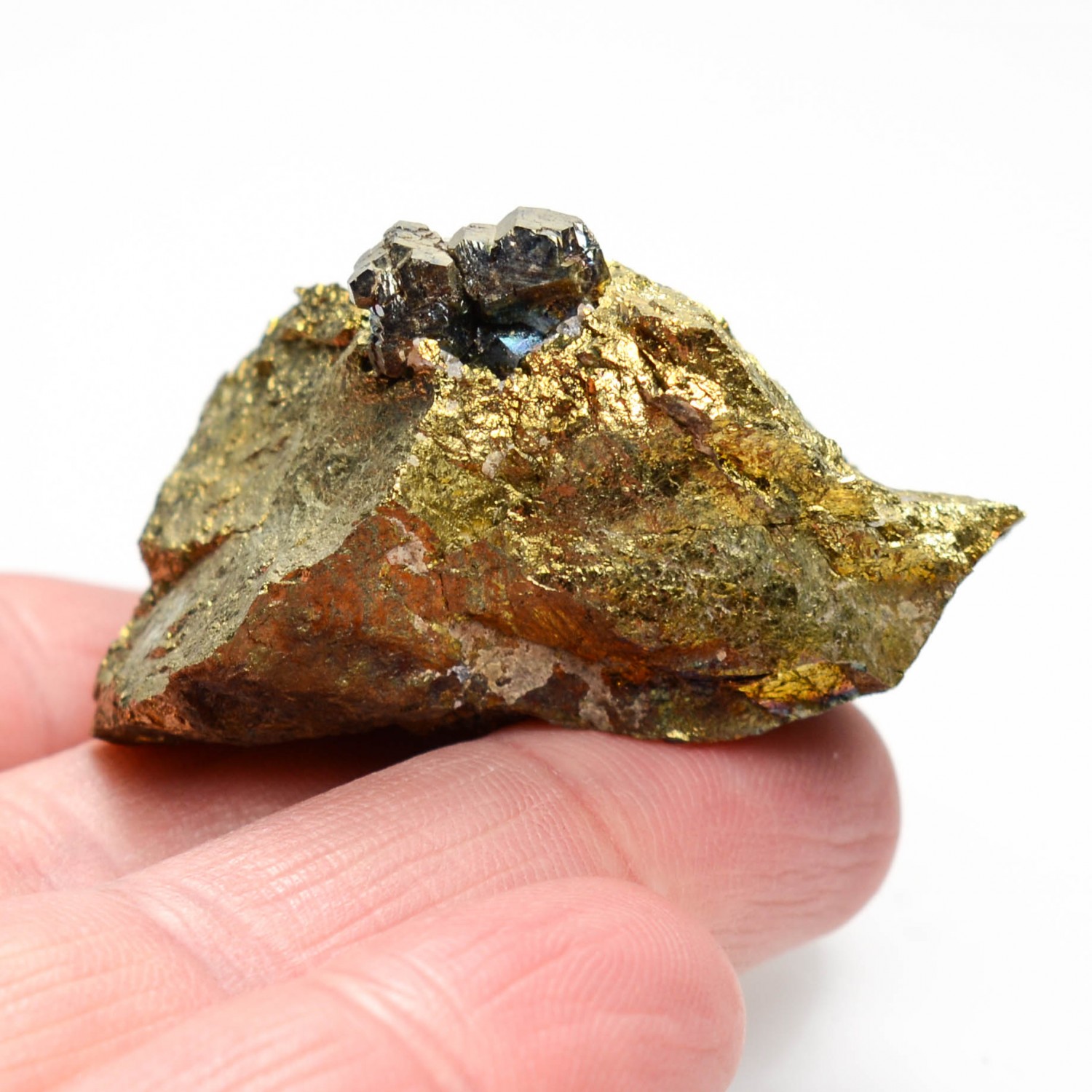 Pyrite sur chalcopyrite - Laguépie, Tarn-et-Garonne, France