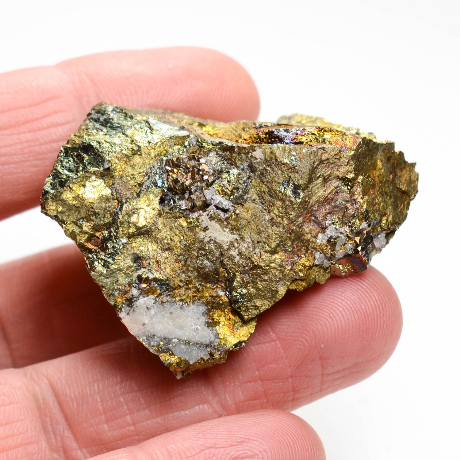 Pyrite on chalcopyrite - Laguépie, Tarn-et-Garonne, France