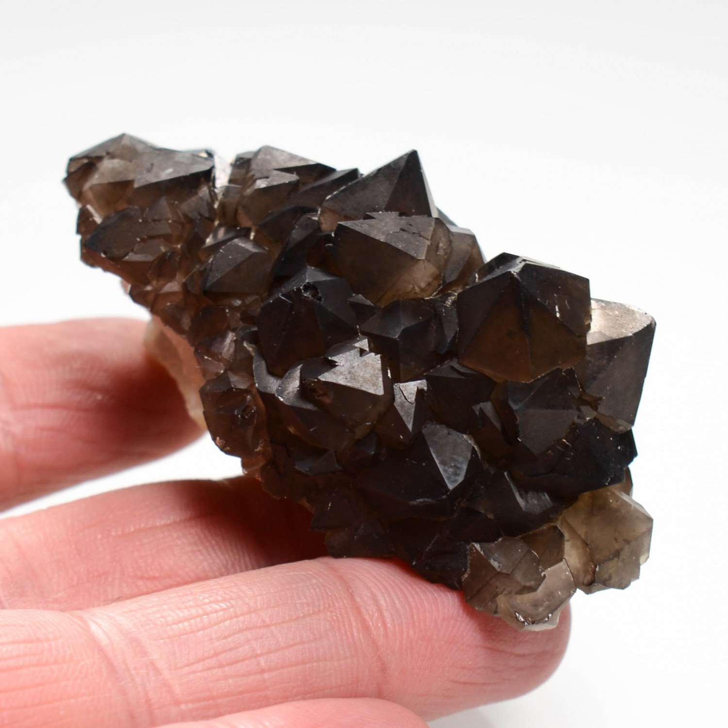 Quartz fumé - Firminy, Loire, France