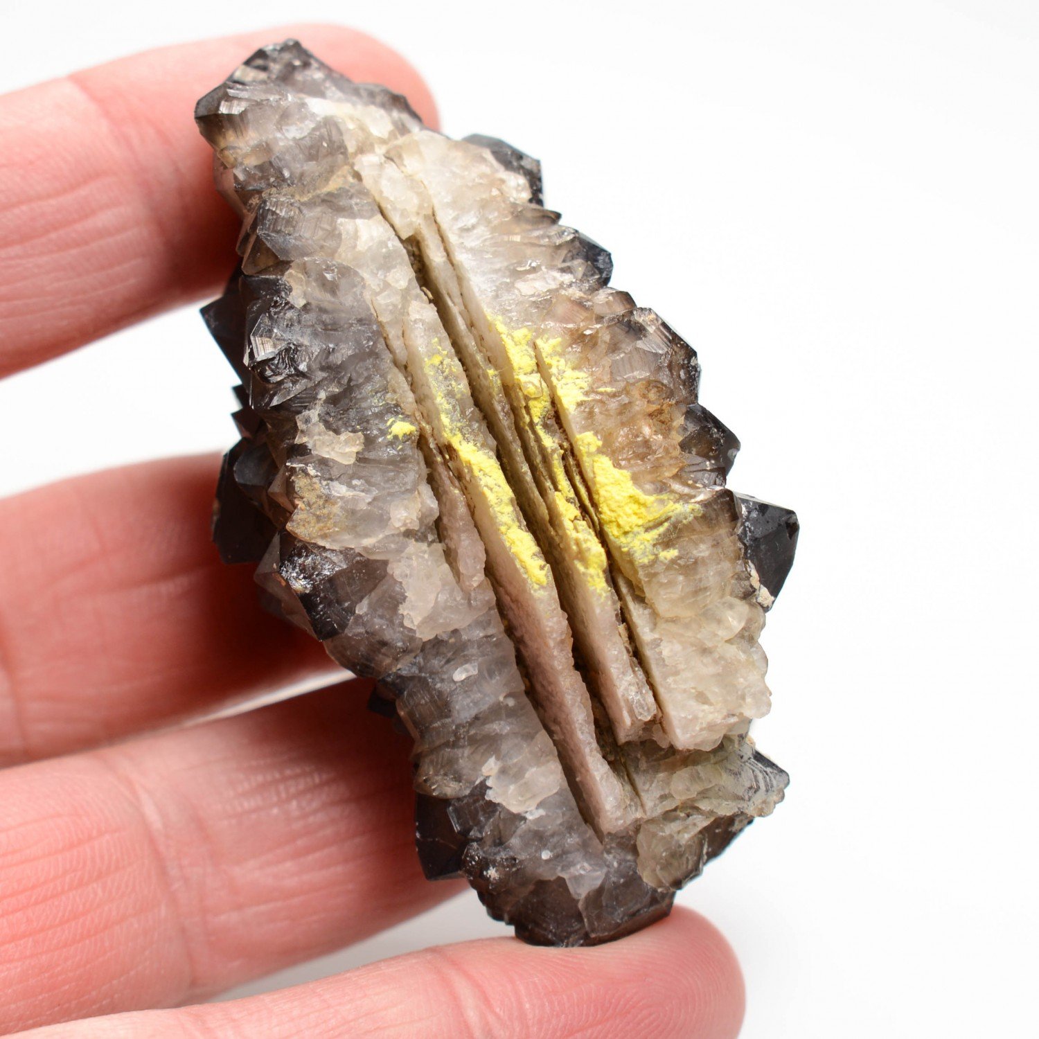 Quartz fumé - Firminy, Loire, France