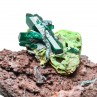 Dioptase et phosphohedyphane - Mindouli, Congo