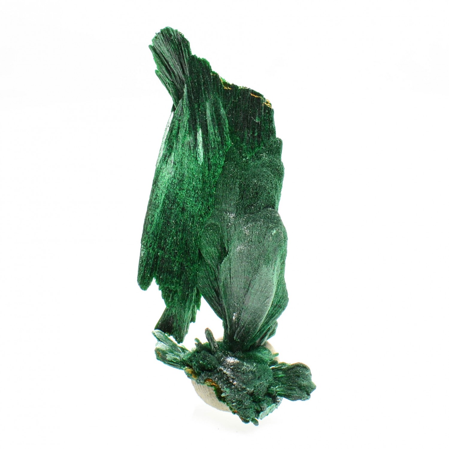 Malachite - Kerrouchen, Maroc