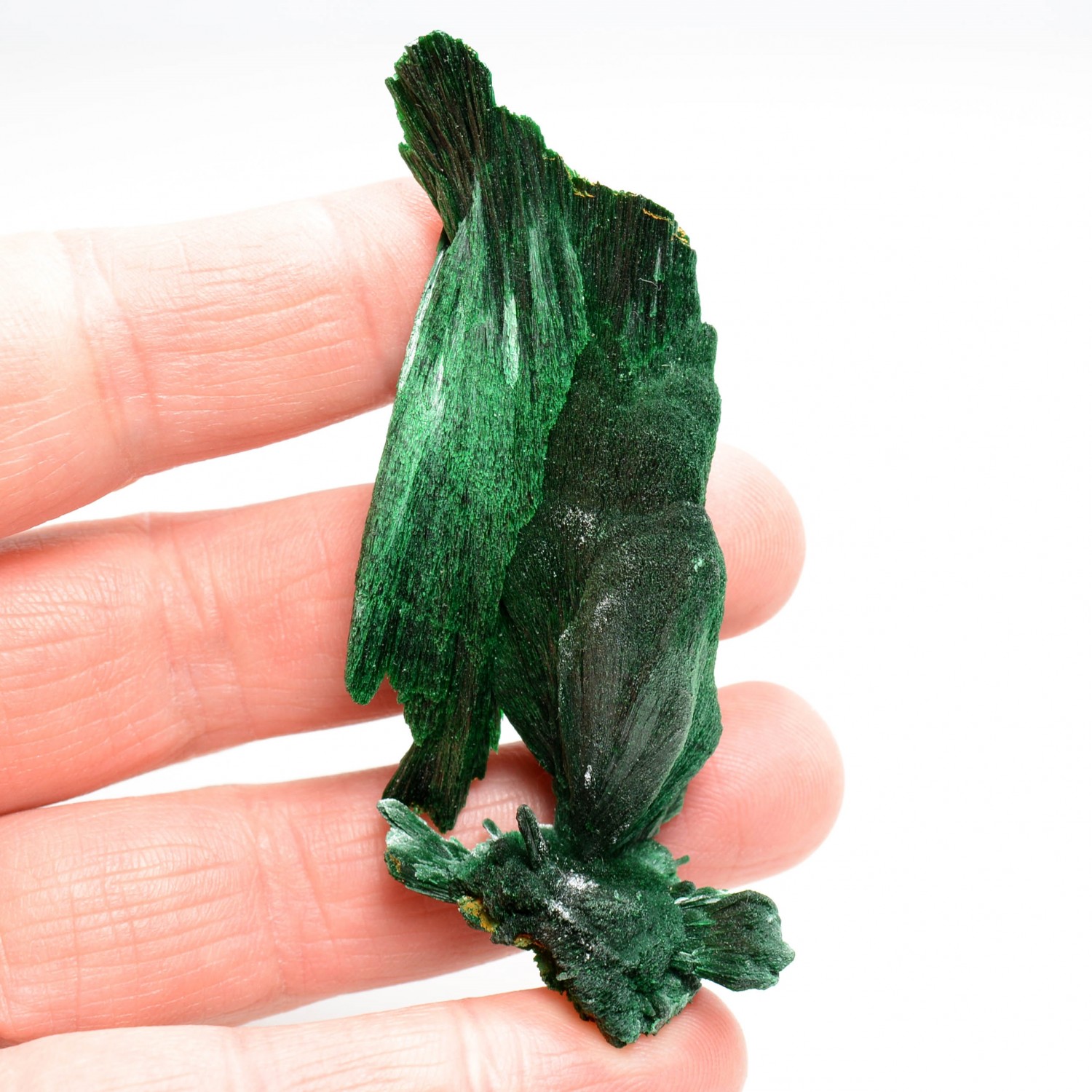 Malachite - Kerrouchen, Maroc