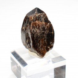 Xenotime - Novo Horizonte, Bahia, Brazil