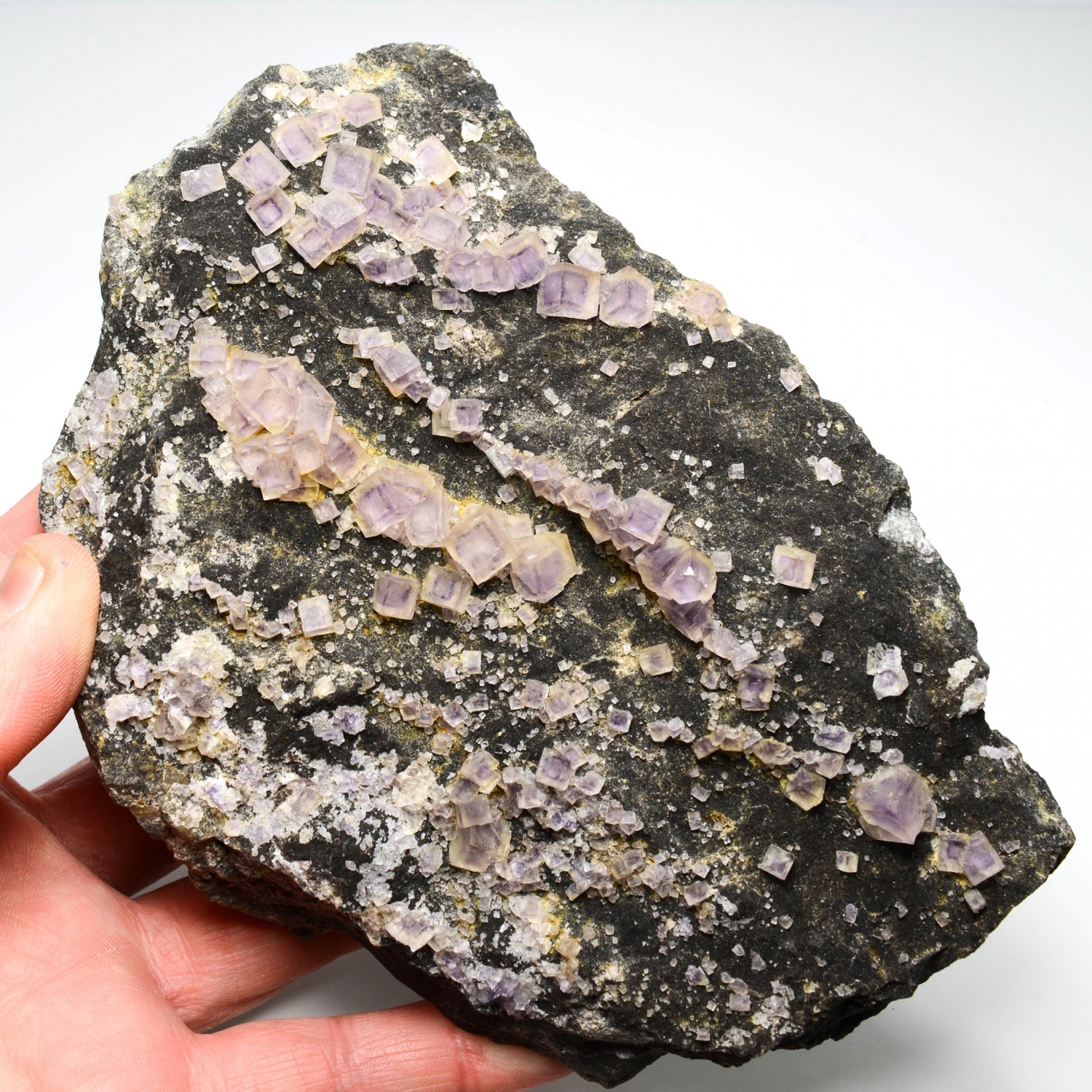 Fluorite - Arbouet, Pyrénées-Atlantiques, France