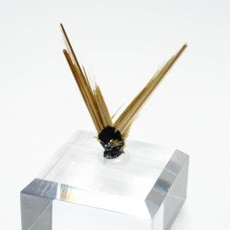 Rutile et hématite - Novo Horizonte, Bahia, Brésil