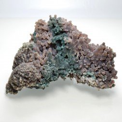 Agate grape - Mamuju, Sulawesi, Indonesia