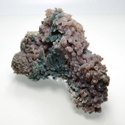 Agate grape - Mamuju, Sulawesi, Indonesia